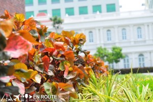 Discover Cuisine at Enderun Colleges, Enderun Colloges, Enderun, Discover Cuisine, Philippine Cooking School, Philippine Culinary School