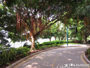 Tree-lined avenues in Hong Kong Disneyland Hollywood Hotel