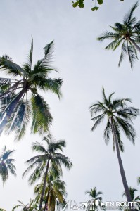 Dos Palmas Araceffi Island Palawan Philippines-1789