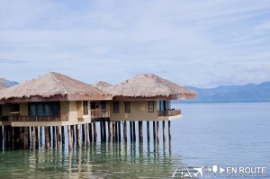 Dos Palmas Araceffi Island Palawan Philippines-1790