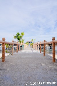 Dos Palmas Araceffi Island Palawan Philippines-1792