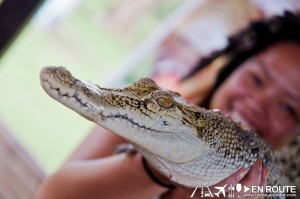 Irawan Palawan Crocodile Farm Irawan Puerto Princesa City Palawan Philippines-1848