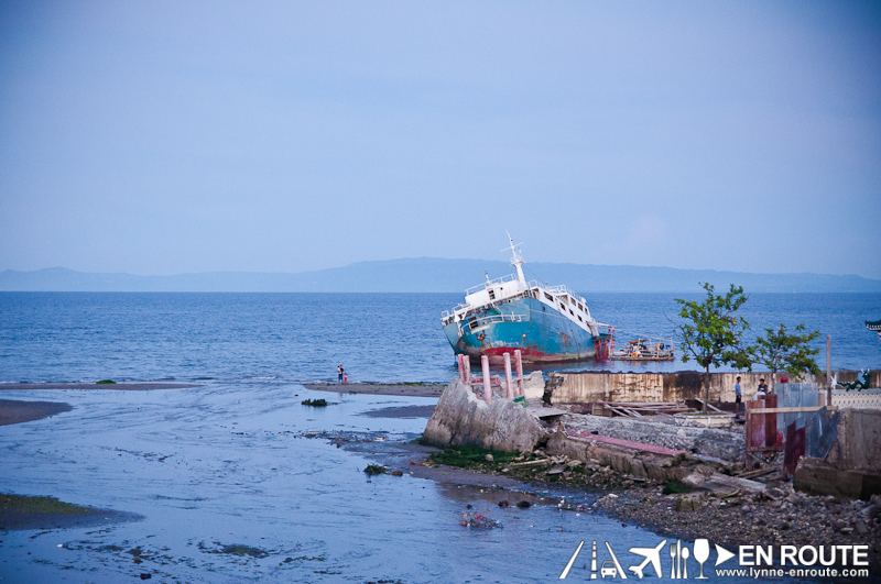 En Route Signs and Sightings - Dumaguete-8004