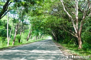 Arena Island Private Resort Narra Palawan Philippines-8881