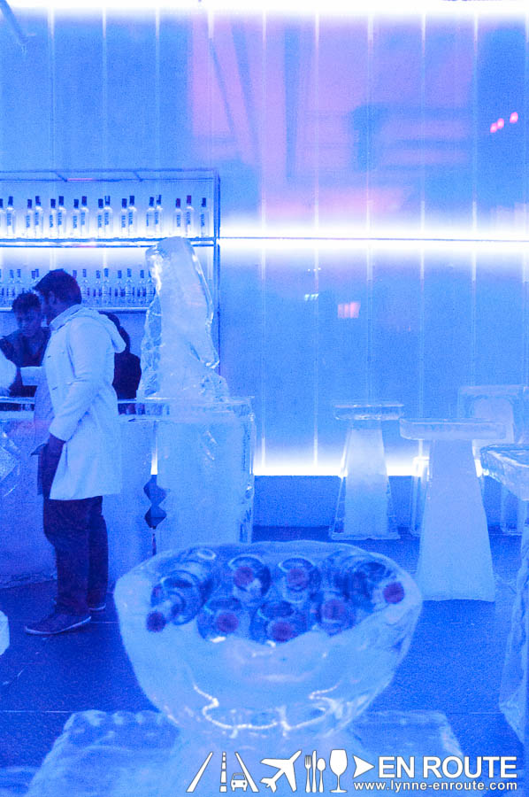 Imperial Ice Bar Fort Bonifacio Global City Philippines-1785