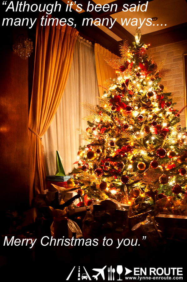 Merry Christmas 2012-2713