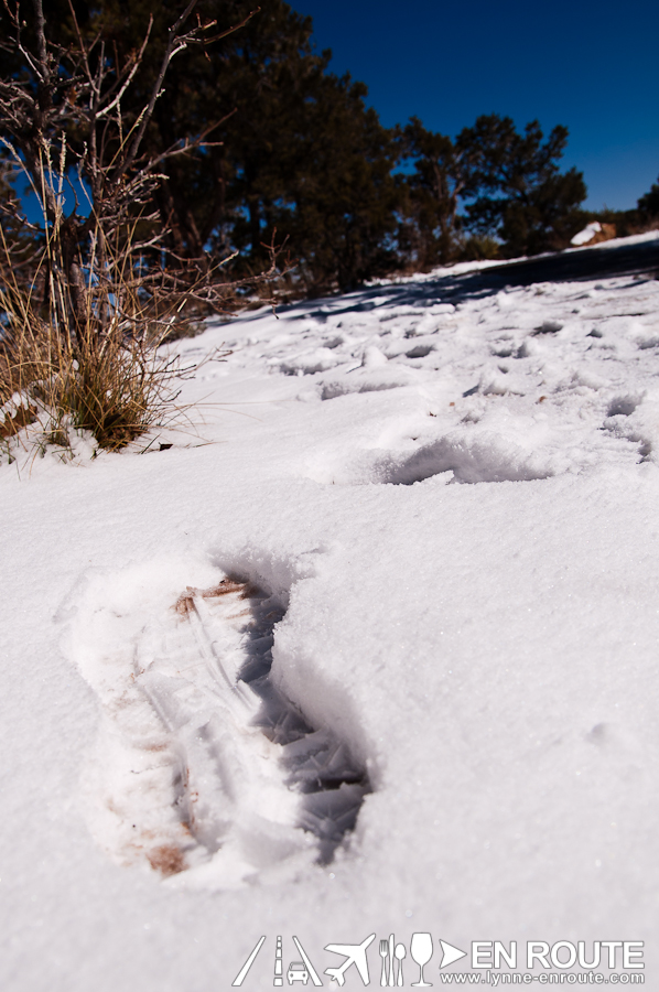 Grand Canyon in the Winter Arizona USA-10